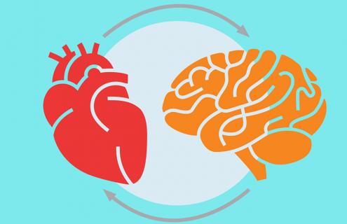 Taking Care Of Your Heart Helps Your Brain | Health + Wellness ...